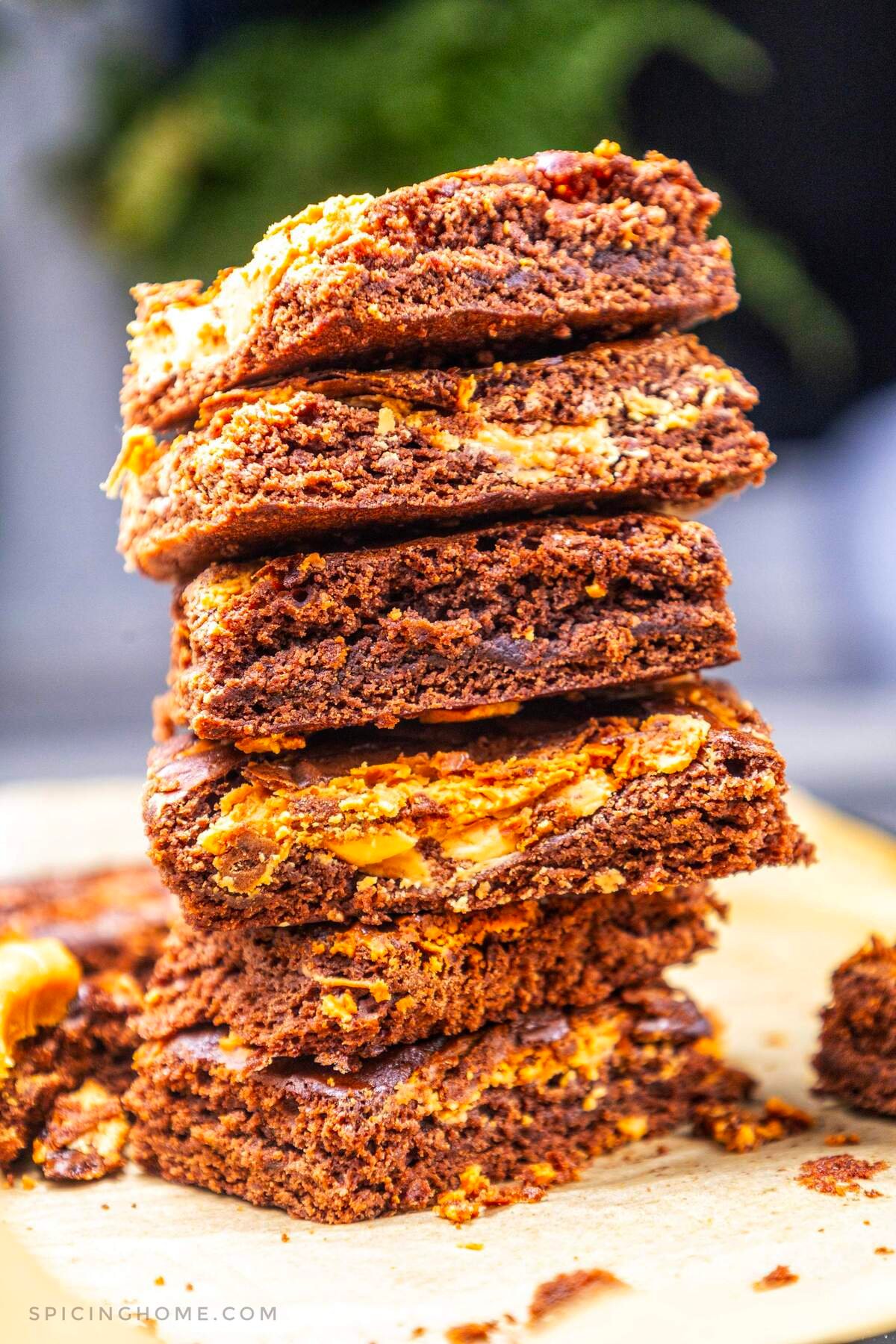 Peanut Butter Brownies Fall Dessert Recipe (4)